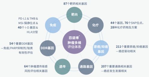 臻和科技獲超十億元E輪融資，加速腫瘤診斷產(chǎn)品研發(fā)及信息技術(shù)咨詢服務(wù)升級(jí)